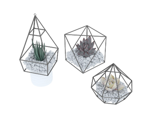 绿色植物多肉3D模型